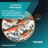 Techno Ray - Fish Is Back