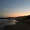 Cover DJ Calypso - Waiting for Summer 2026 DJ Calypso - Waiting for Summer 2026