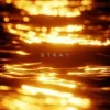 R3DN1K - Stray