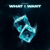 Cover Ad Voca - What I Want Ad Voca - What I Want