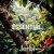 Cover Jerbi - Fav Tracks Mix: ESSENTIAL || Uplifting Trance Mix