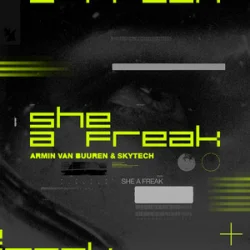 Cover Armin van Buuren & Skytech - She A Freak