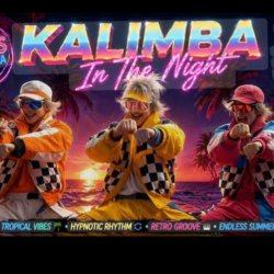 Cover Kalimba in the night - Euro disco summer vibes