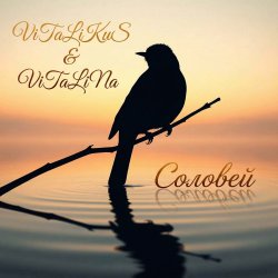 Cover ViTaLiKuS - Соловей (Remix)