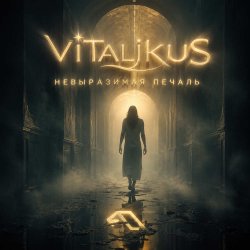 Cover ViTaLiKuS - Невыразимая печаль