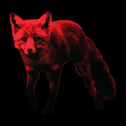 Cover The Prodigy & Flux Pavilion - Rhythm Bomb