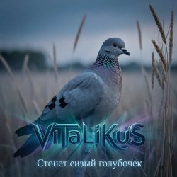 Cover ViTaLiKuS - Стонет сизый голубочек