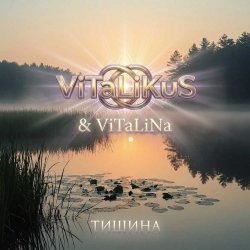 Cover ViTaLiKuS - Тишина