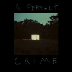Cover Kovacs - A Perfect Crime