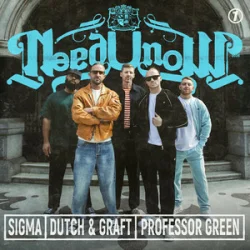 Cover Sigma & Dutch & Graft & Professor Green - NEED U NOW