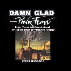 Cover DAMN GLAD - Pigs