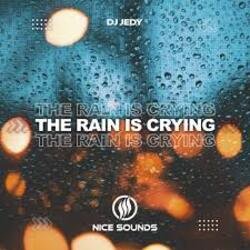 Cover DJ JEDY - The Rain Is Crying