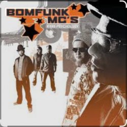 Cover Bomfunk MC's - Foxy Lady