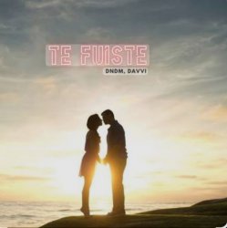 Cover DNDM & Davvi - Te Fuiste