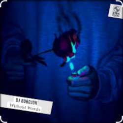 Cover Dj Bobojon - Without Words