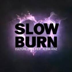 Cover NEIMXX - Slow Burn