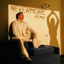 Cover der Flaum - nevermore (remix)