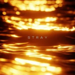 Cover R3DN1K - Stray