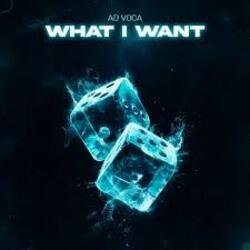 Cover Ad Voca - What I Want