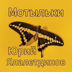 Cover Юрий Ялалетдинов - Мотыльки