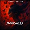 Cover STXRSHOV & Daria Kupr - Darkness STXRSHOV & Daria Kupr - Darkness