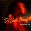 ВуИндия, Xcho, MOT x Tiesto - Шадэ (DJ SMILE Radio Edit)