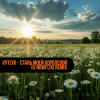 Cover Vytlyk - Стань моей королевой (DJ Nowitzki Remix) Vytlyk - Стань моей королевой (DJ Nowitzki Remix)