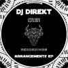DJ Direkt - Arrangement