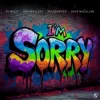 DJ Wout x Jan Vervloet x Pulsedriver - I'm Sorry (Extended Mix)