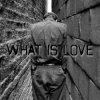 Cover der Flaum - What is love der Flaum - What is love