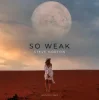 Steve Norton - So Weak