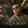 Cover Wellboy - Пасажир Wellboy - Пасажир