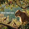 Dolby D&G - Wildness and life
