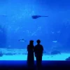 Mattyeux & Princess Chelsea & Vieoclub - Sometimes
