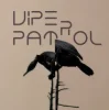 Cover Viper Patrol - What Is (Original Mix) Viper Patrol - What Is (Original Mix)
