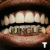 Cover TroyBoi & Shiwa - Jungle TroyBoi & Shiwa - Jungle