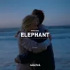 Cover Don Diablo - Elephant Don Diablo - Elephant