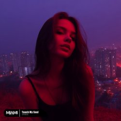 Cover ZYREX - Touch My Soul