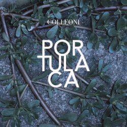 Cover Colleoni - Senza Primavera