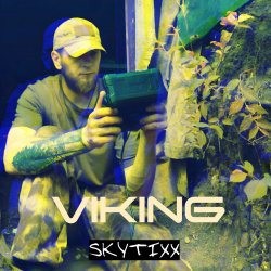 Cover Viking (Original Mix)