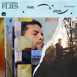 Cover Catching Flies - When It's Late