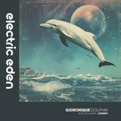 Cover Gidronique - Dolphin