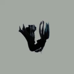 Cover Rain Paris - Don't Blame The Demons