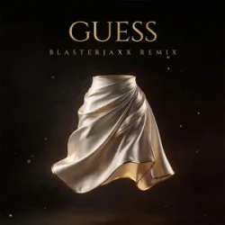 Cover Charli xcx & Billie Eilish - Guess (Blasterjaxx Remix)