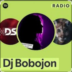 Cover Dj Bobojon - My Sweet Melody