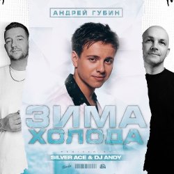 Cover Андрей Губин - Зима-Холода (Jin Shi Remix)