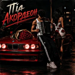 Cover ZVUCAR & Kamelii Merlina - Під Акордеон