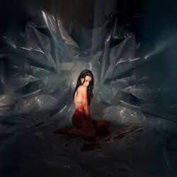 Cover Noémi Büchi - The cryptic precision