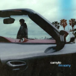 Cover Camylio - i'm sorry (Dj Vianu Remix)