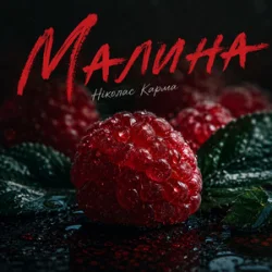 Cover Ніколас Карма - Малина